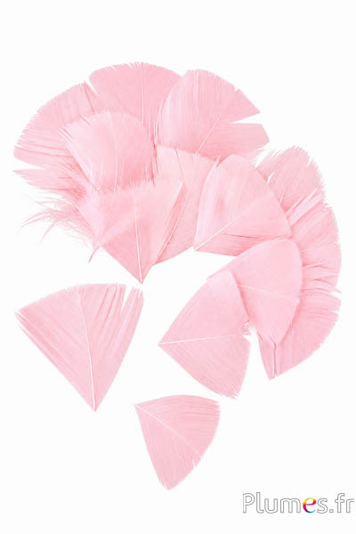 Petali a goccia in piume - 6-8 x 3-4 cm - rosa tenue